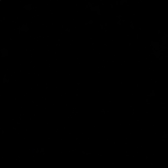 Meet your Posher, Ellis - Picture 1 of 1